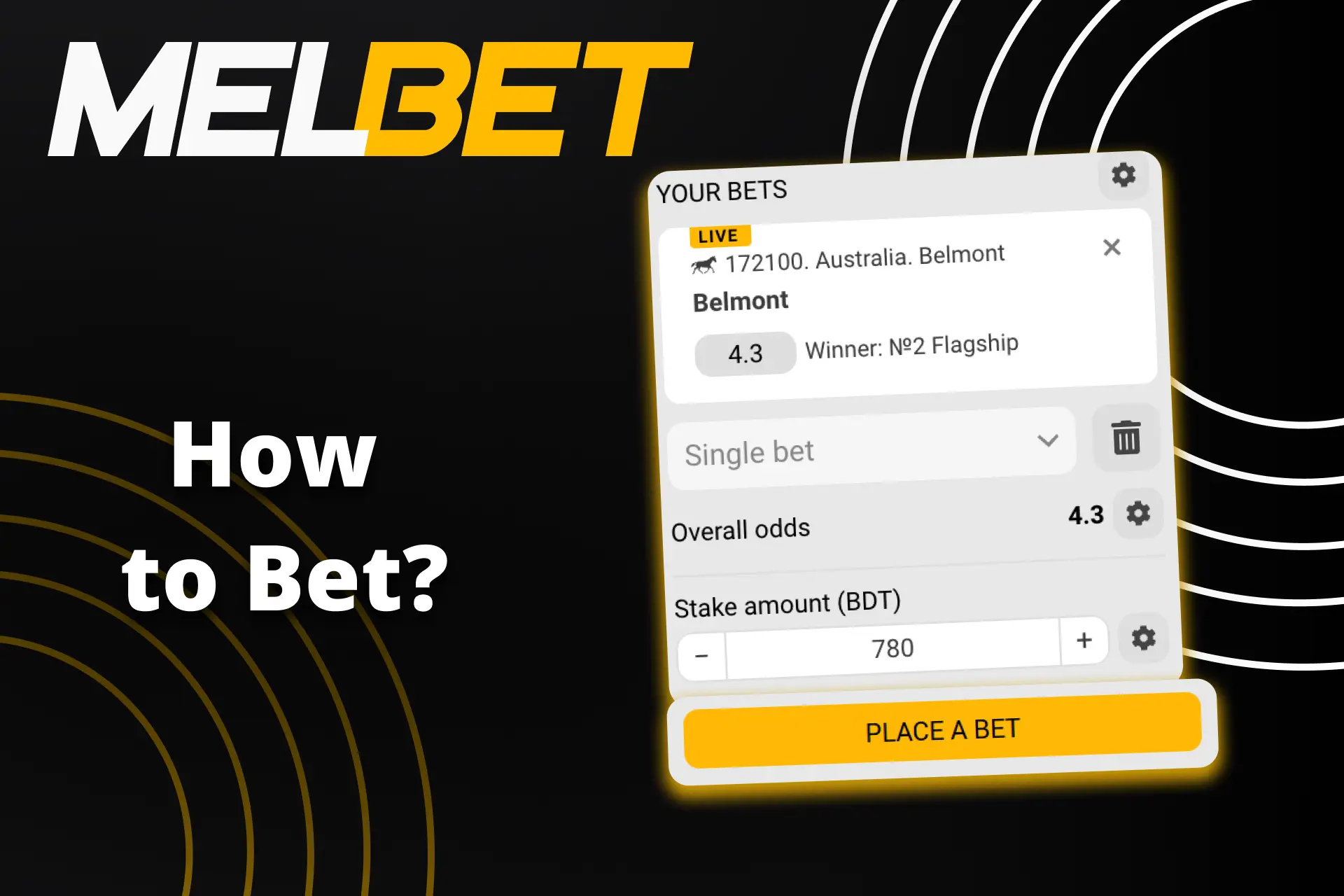 Go to the right section for betting on horse races from Melbet.