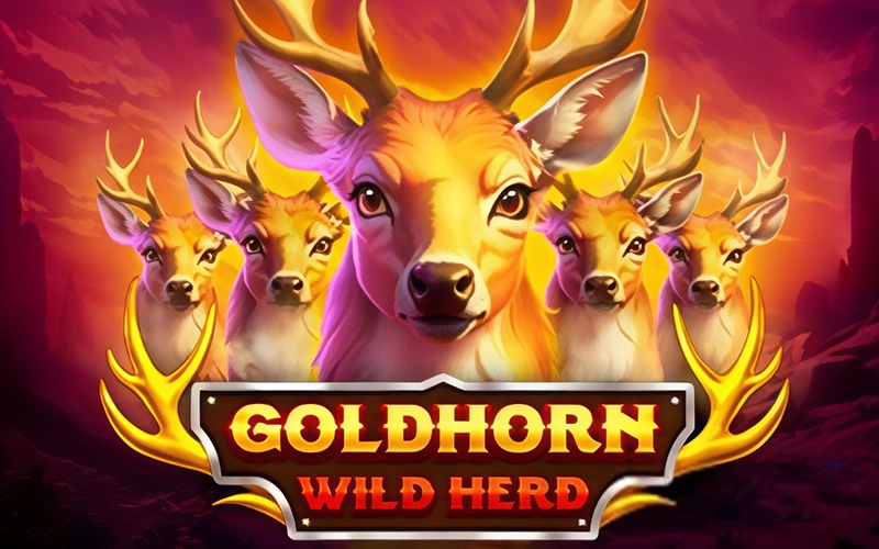 Play the new Goldhorn Wild Herd wildlife slot with 4,096 ways at Melbet online casino.