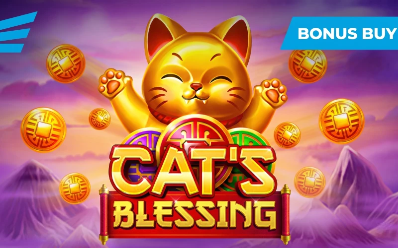 Receive the official Melbet Cat’s Blessing from the Evoplay slot.