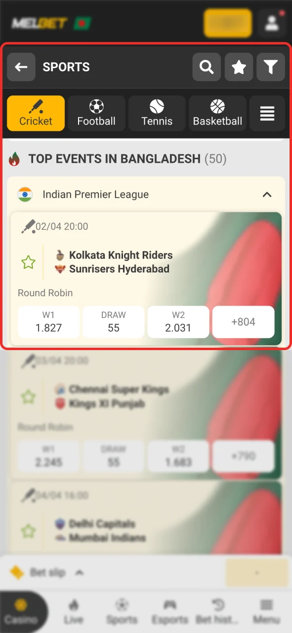 Select cricket and start betting at Melbet today.