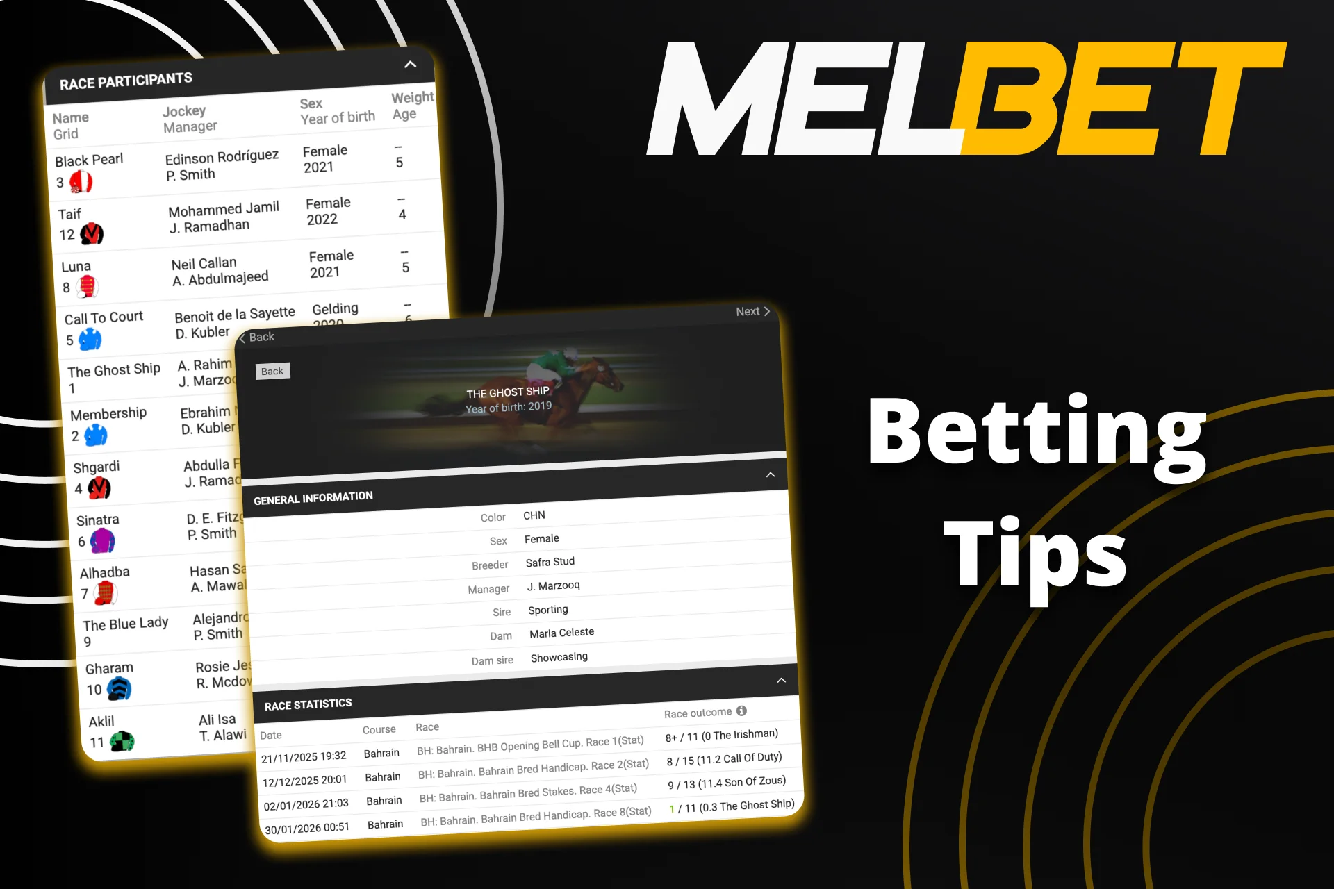 Analyze past horse race results at Melbet.