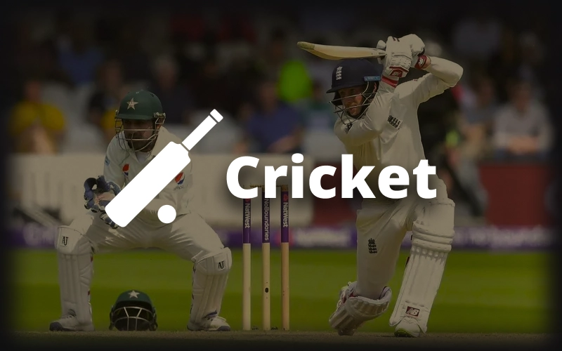 Play Cricket on Melbet and enjoy strategic batting bowling and exciting team competition with every match.